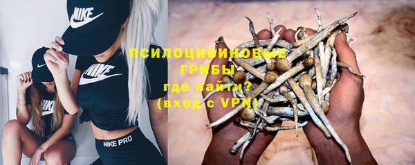 прущая мука Алексин